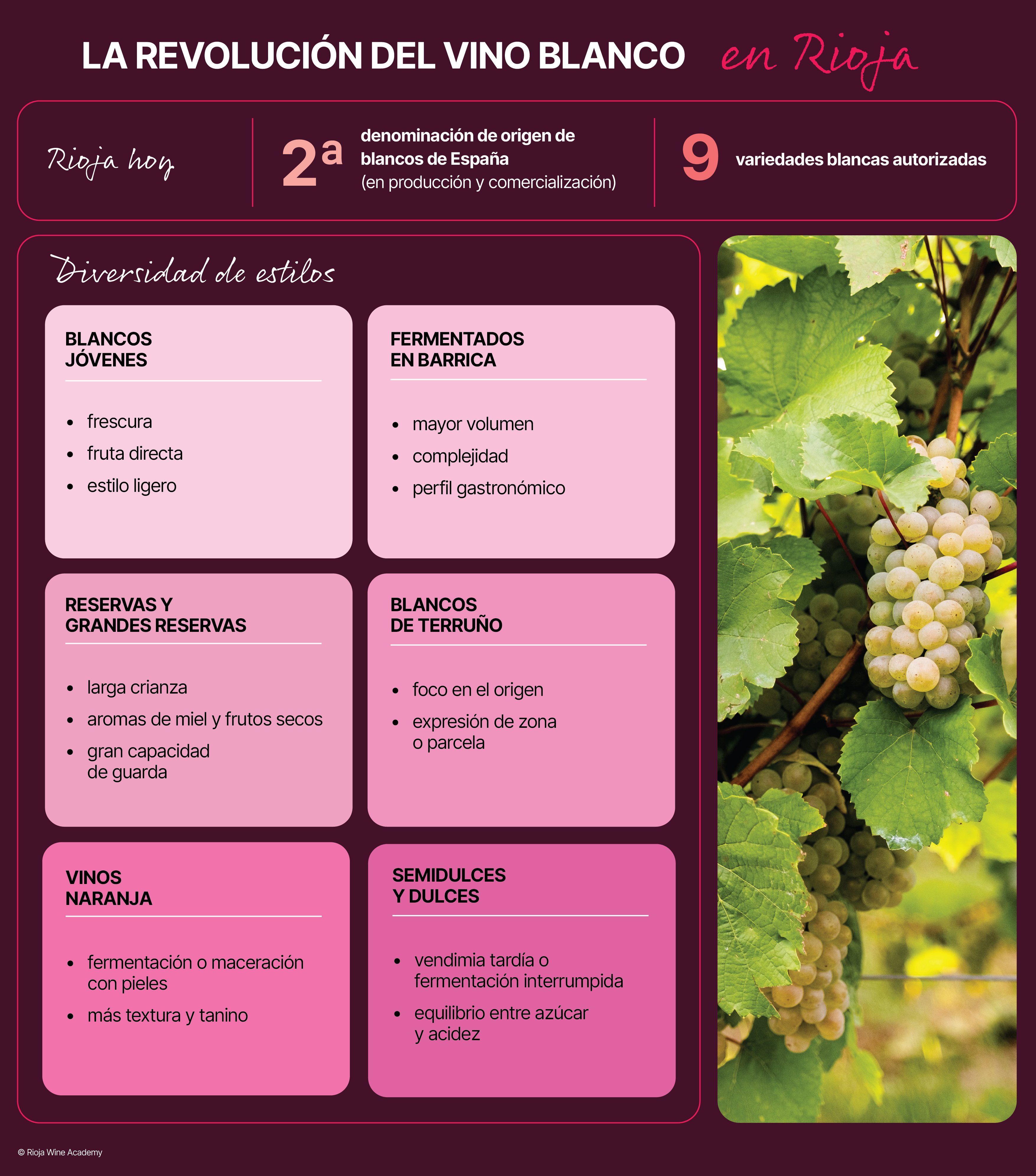 Articulos DEC_SP_2