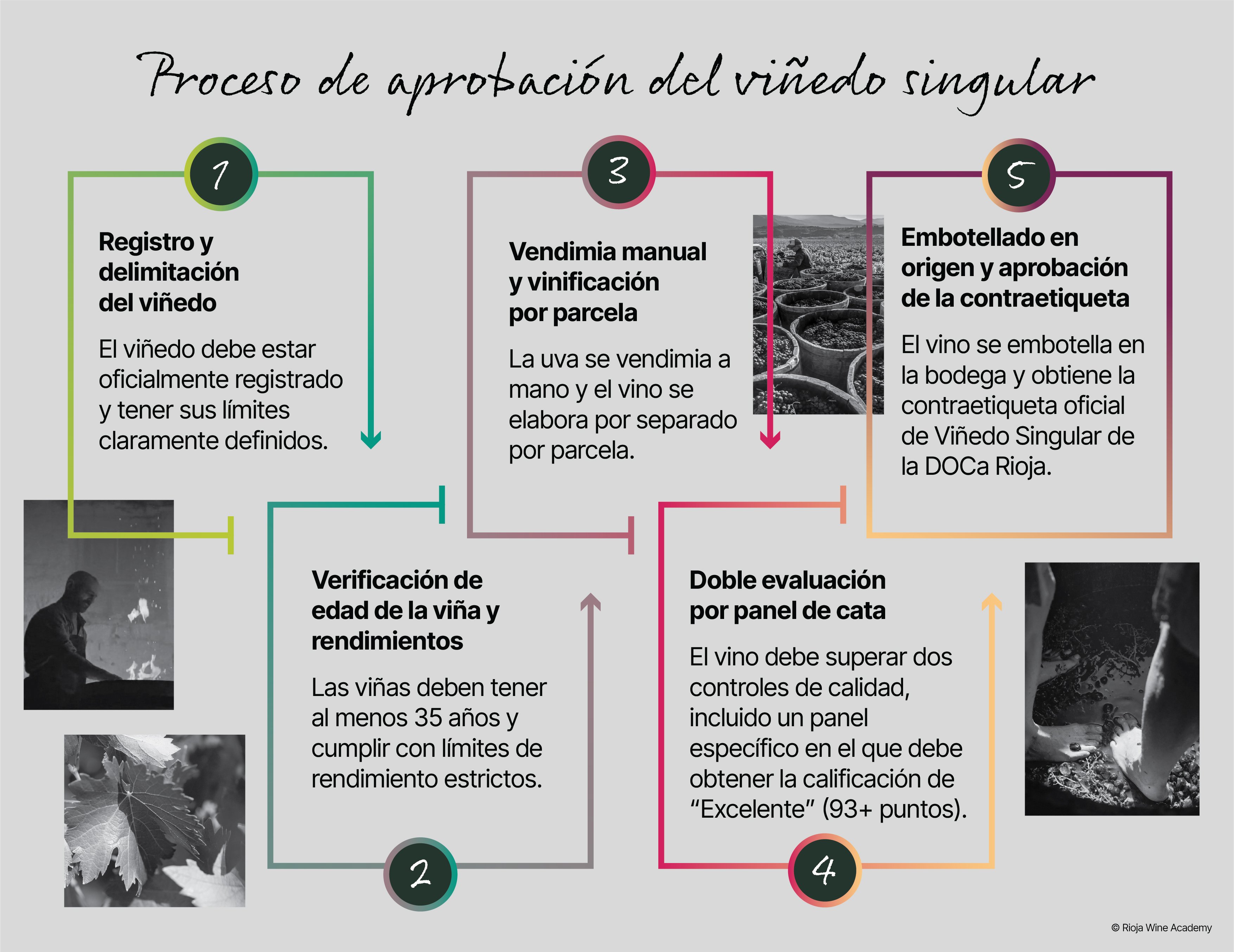 Articulos DEC_SP_3
