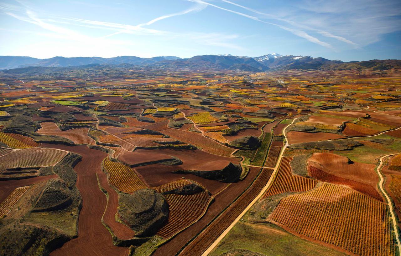 Cardenas-_Badaran-_Najerilla