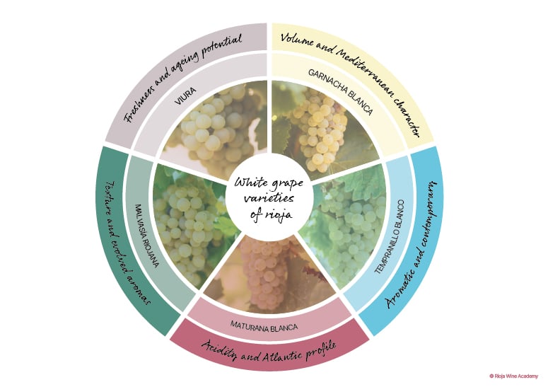 Rioja_white_grape_varieties
