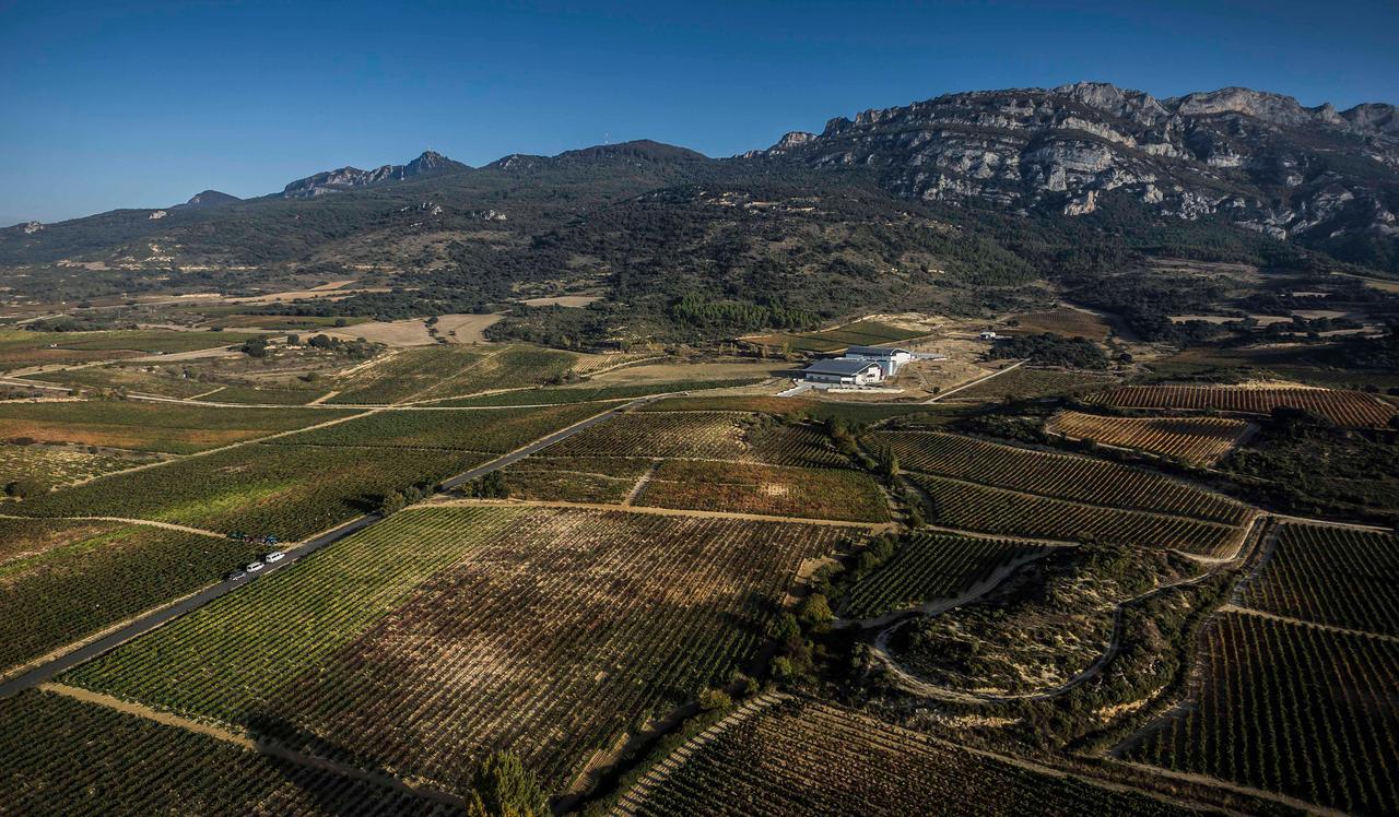 Vega_Sicilia-_Rioja_Alavesa