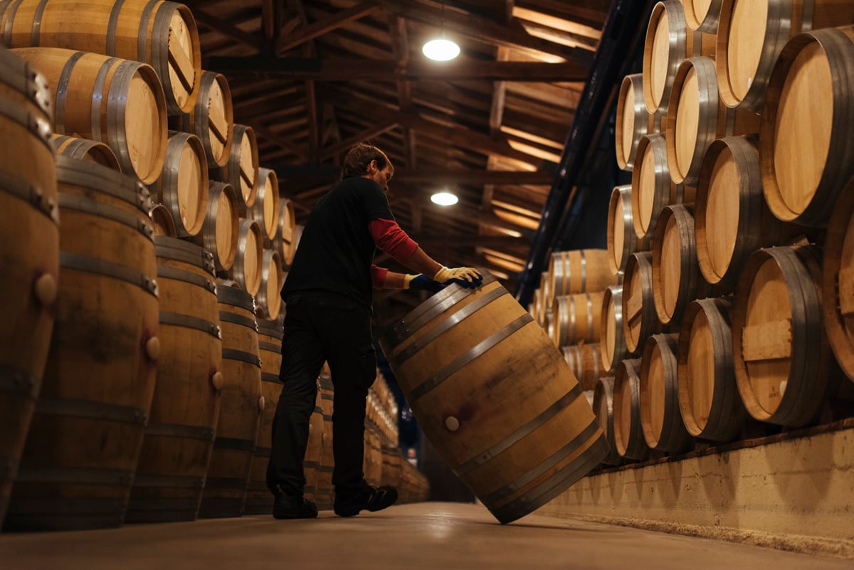 oak-barrels-in-rioja