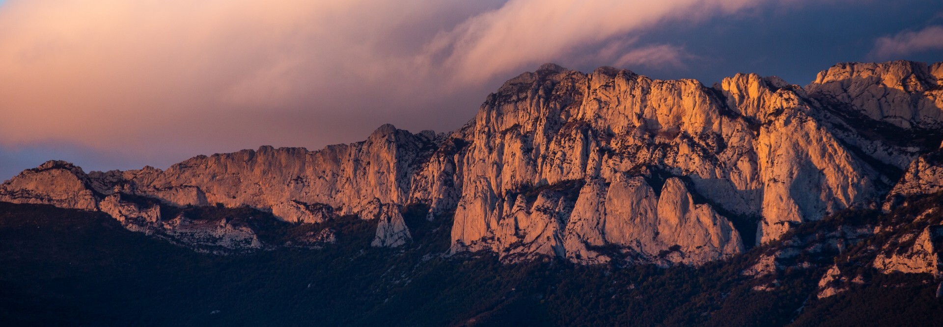 Welcome to the Rioja Wine Academy Blog